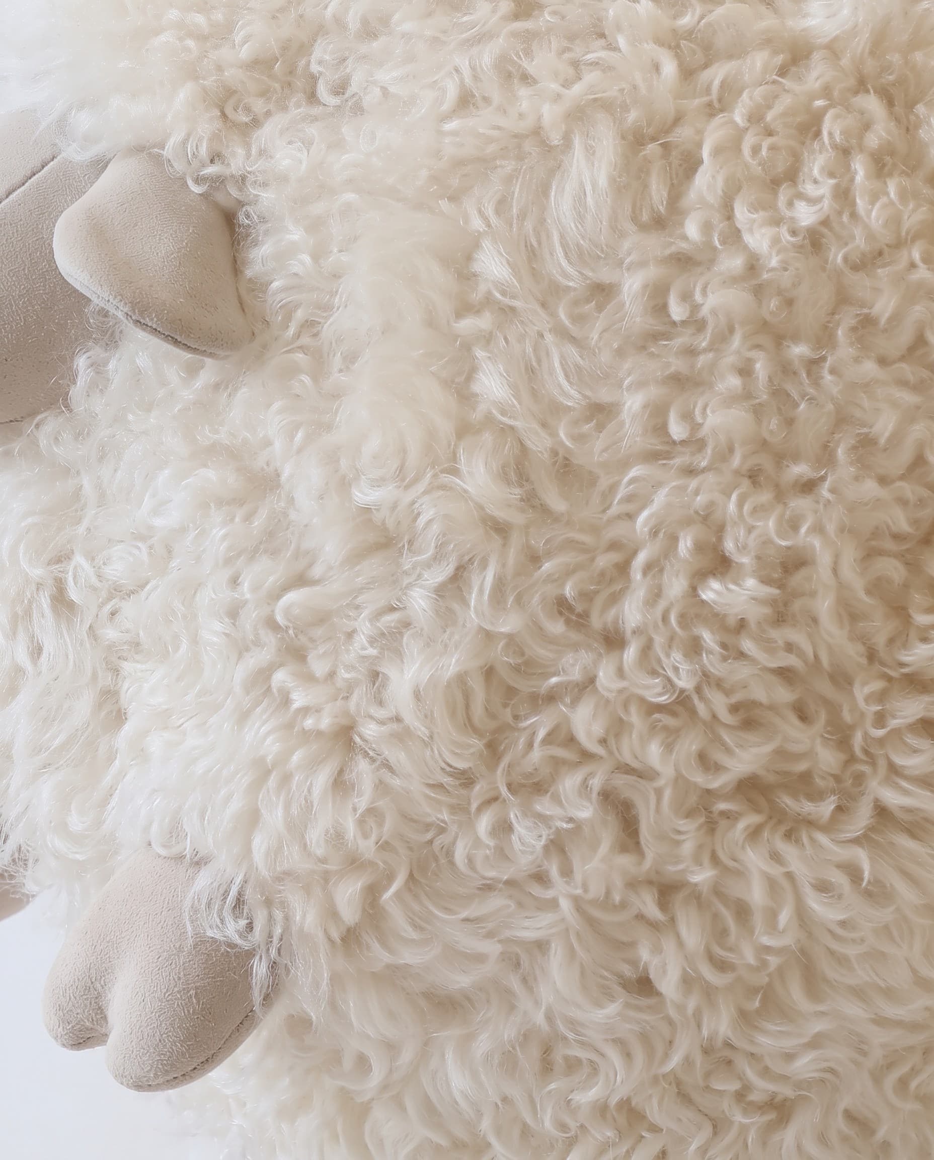 Mouton décoratif en peau de mouton — Crème — la toison de près