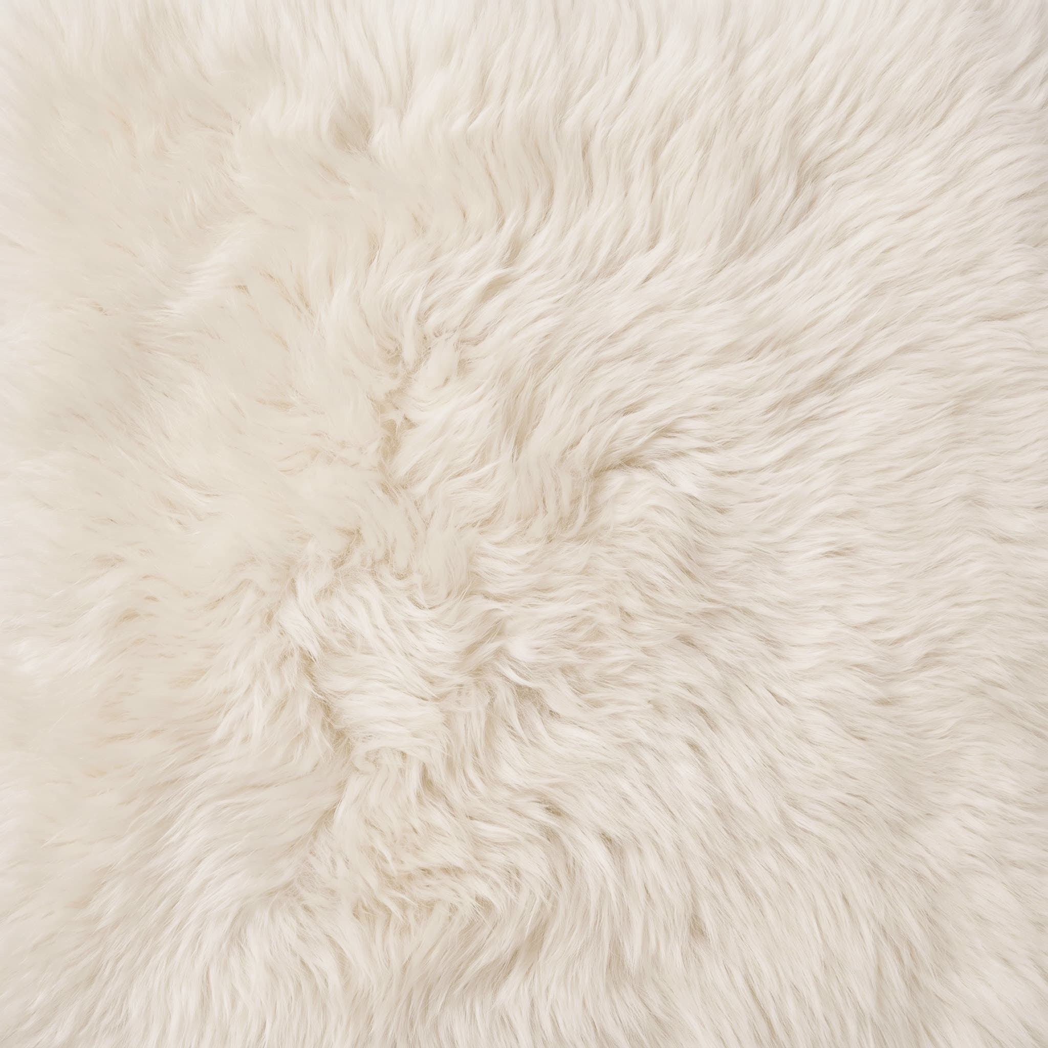 Détail d'une peau de mouton de Nouvelle-Zélande à poil long, coloris ivoire