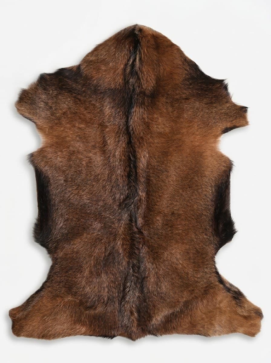 Tapis 60 x 90cm